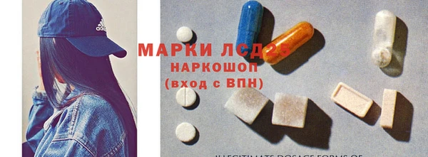 индика Белоозёрский
