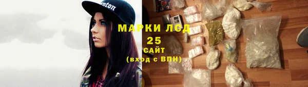 индика Белоозёрский