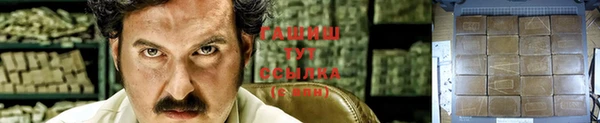 индика Белоозёрский