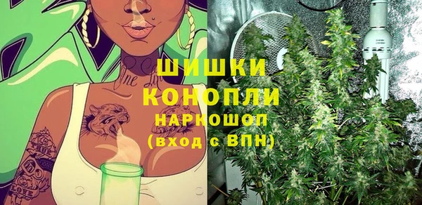 индика Белоозёрский